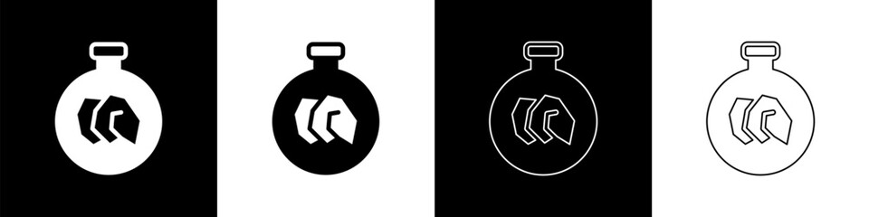 Set Exhibition with various minerals, rocks and crystals icon isolated on black and white background. Minerals exhibition, mineralogy, geology expo or museum. Vector