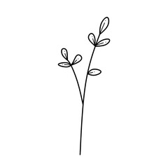 Decorative beautiful garden botanical. Minimalist hand drawn sketch. Vector stock illustration