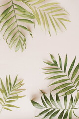 Fototapeta premium Palm leaves frame on a beige background with copy space. top view. vintage toned.Botanical aesthetic poster