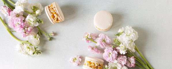 macarons and tender matthiola flowers on a light table