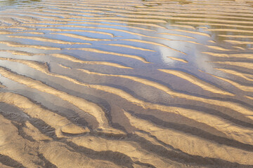 ripples in the sand
