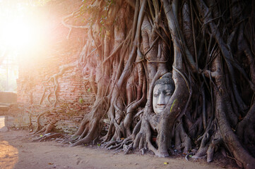 Ancient Budha statue's face in the tree roots in Ayuthaya khmer temple, Thailand.