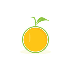 Orange fruit vector illustration logo icon