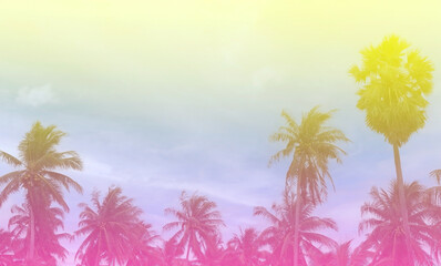 Fototapeta na wymiar Summer with colorful theme as palm trees background as texture frame background