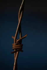 Vertical closeup shot of a rusted barbed wire against a dark blue background