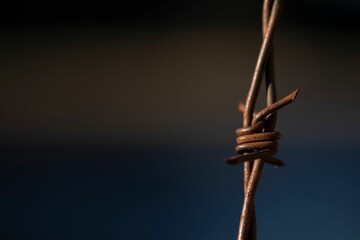Closeup shot of a rusted barbed wire against an isolated background