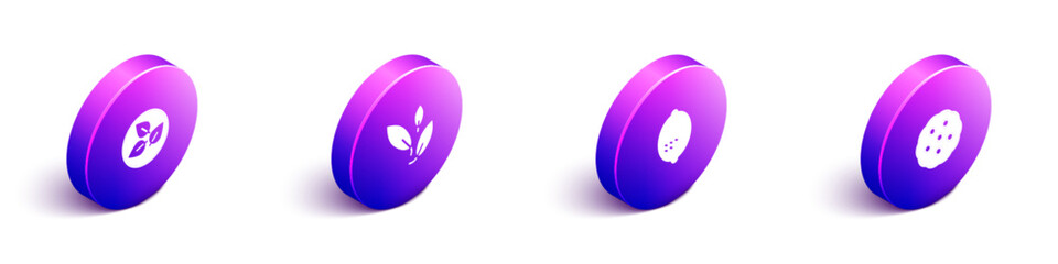 Set Isometric Tea leaf, Lemon and Cookie or biscuit icon. Vector