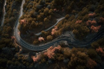 Winding road, trees and bushes from above. Generative AI