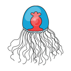 Jellyfish vector icon.Color vector icon isolated on white background jellyfish.