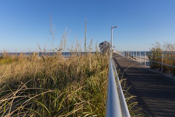 Fototapeta premium Fenced boardwalk with green and brown grass under blue sky in Ventnor City, New Jersey