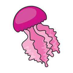 Jellyfish vector icon.Color vector icon isolated on white background jellyfish.