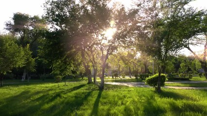 Drone view through a sunny green park