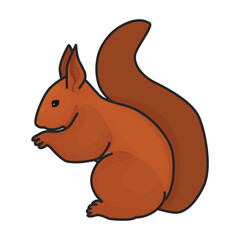 Rat vector icon.Color vector icon isolated on white background rat.