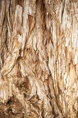 Vertical closeup of a tree bark
