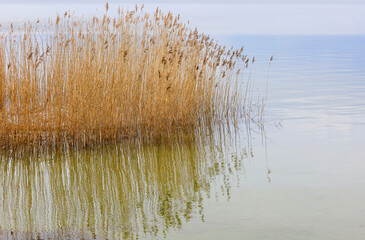 Halbinsel M&ouml;nchgut, R&uuml;gen
