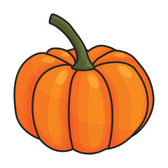 Pumpkin vector icon.Color vector icon isolated on white background pumpkin .