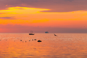 tall ship sailing along skyline