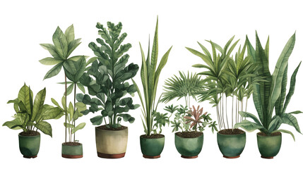 イラスト調の観葉植物(切り抜き) No.009 | Illustrative houseplants cut-out (picture, coloured paper, etc.)　Generative AI