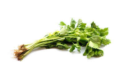 Fresh organic celery vegetables, isolated on white background. Concept, herbal plant to season food or topping decoration on plate of food.         