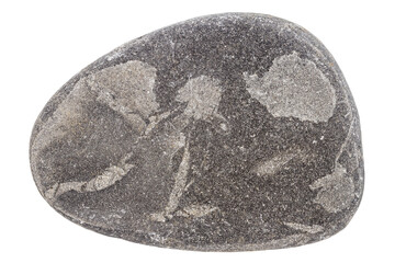 Top view of single black pebble