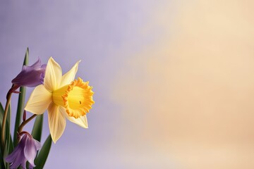 Yellow Daffodil and Bluebells on Pastel Background with Copy Space for Text. 