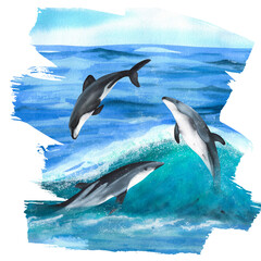 Three hand drawn watercolor dolphins