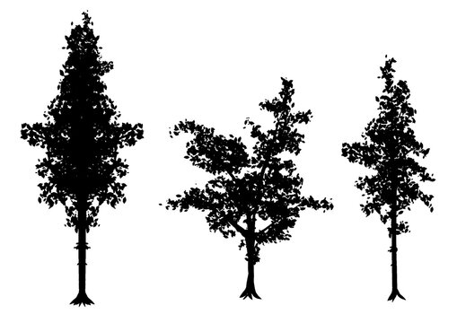 樹木のシルエットセット