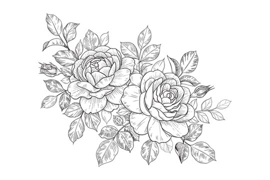 flowers spring art design graphics Vector line art monochrome elegant floral composition in vintage style, tattoo design, coloring page, wedding decoration