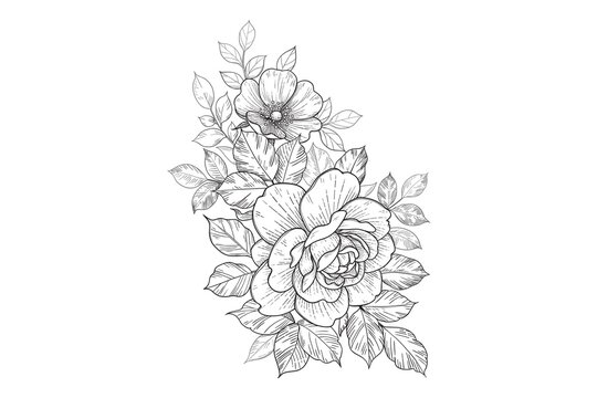 flowers spring art design graphics Vector line art monochrome elegant floral composition in vintage style, tattoo design, coloring page, wedding decoration