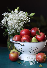 White flowers and red apples on a black background. Still life with juicy seasonal organic fruit in white colander on blue table. Vibrant colors of flowers and apples. Eating fresh concept. 