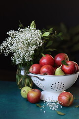 Red apples on black background. Vibrant colors of fresh seasonal fruit. Apples in a colander. White flowers and fruit still life. 