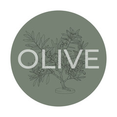 Plant olive branches isolated on white background sticker, leaves, olives, vector hand drawn illustration. Italian cuisine. Olive plant	

