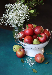 Red apples on black background. Vibrant colors of fresh seasonal fruit. Apples in a colander. White flowers and fruit still life. 