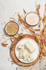 Fresh Tofu cheese with soybeans. Cube pieces, healthy ingredient for vegan lifestyle, modern stand