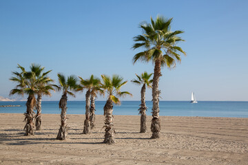 Palm Trees and Yacht, El Campello Beach, Alicante; Spain - 592947177