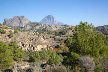 Fototapeta na wymiar Scenery close to Puig Campana Mountain; Benidorm; Alicante; Spain