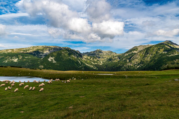 Fototapeta na wymiar Saua Plauil Mic mountain pass with peaks on the background in Retezat mountains in Romania