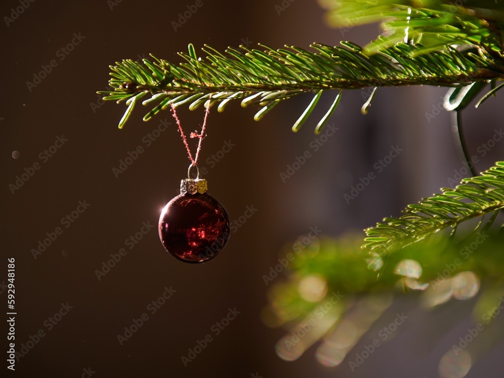 Poster Beautiful shot of a red Christmas tree ornament hanging on a tree