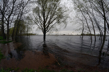Flooding of the Kiev region in the spring of 2023