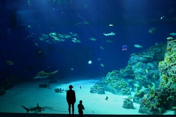 Woman with a child at the National Aquarium in Denmark