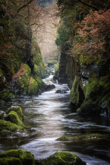 The secluded tree-lined ravine known as the Fairy Glen is off the beaten track near Betws-y-Coed in Snowdonia, Wales - obrazy, fototapety, plakaty