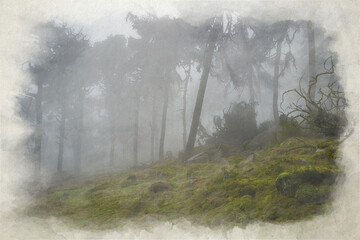 Woodland winter mist and fog digital watercolour painting at The Roaches, Staffordshire.