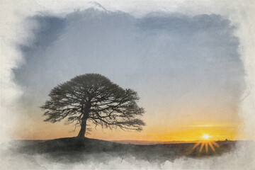 Obraz na płótnie Canvas Digital watercolor painting of a lone tree on Grindon Moor, Staffordshire.