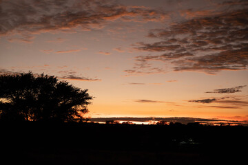 Amazing African sunset in the Kgalagadi Transfrontier Park
