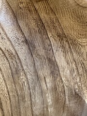 texture of natural wood