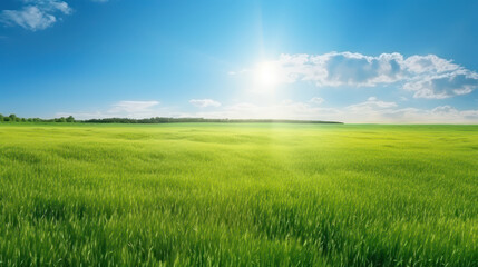 Obraz premium Blissful Summer Landscape: Green Field, Blue Sky and Shining Sun