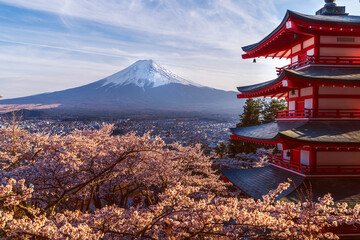 Red chureito pagoda with cherry blossom and Fujiyama mountain on the night