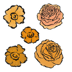 set vector vintage yellow tea roses and flowers