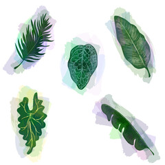 Trendy set of tropical leaves with translucent strokes. Vector design. Seal, jungle. Printing and textiles. exotic tropics. Summer