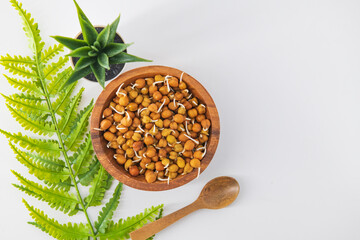 prouted Kala Chana or Black or brown Chickpeas, one of the vegan substitute for rich protein with high content of living enzymes.Concept of healthy green eating.